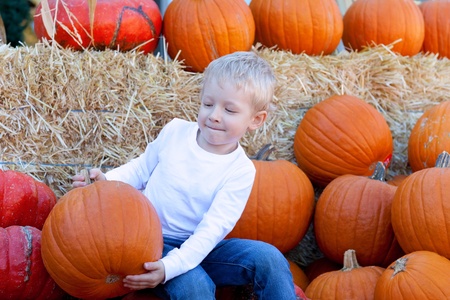 cute caucasian boy holding a big pumpkin at pumpkin patchの写真素材