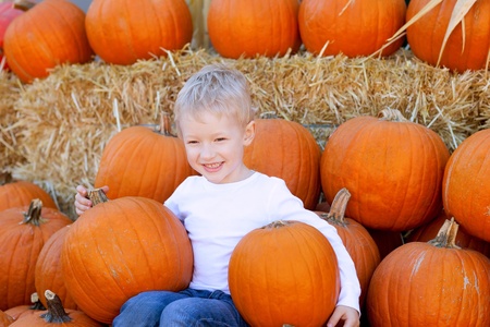 smiling cute boy at the pumpkin patchの写真素材