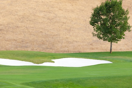 beautiful empty golf courseの写真素材