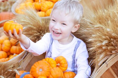 adorable smiling boy holding small pumpkin at the pumpkin patchの写真素材