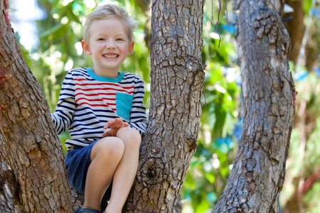 excited adorable boy sitting at the branch of the treeの写真素材