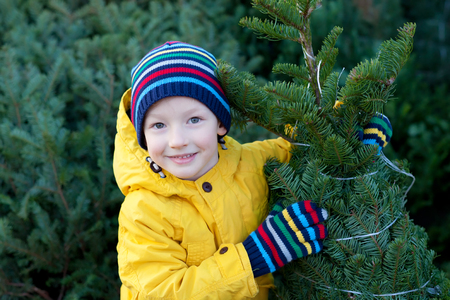 beautiful smiling little boy holding christmas treeの写真素材