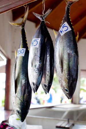 fresh tuna fish at local farmers marketの写真素材