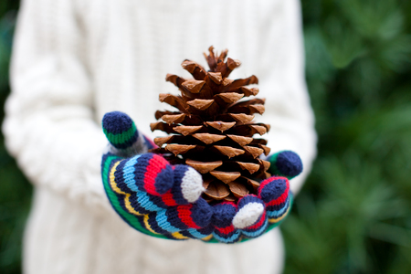 close-up of tree cone, child holding it in his hands, christmas tree at the backgroundの写真素材