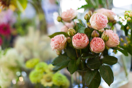 closeup of beautiful pink roses at flower shopの写真素材