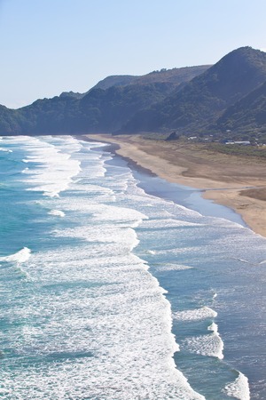 view from lion rock at the piha beach in new zealand