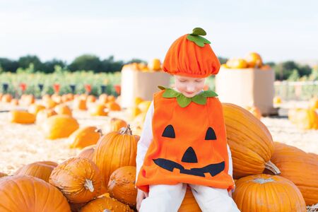 little excited kid in halloween pumpkin costume enjoying time at pumpkin patchの写真素材