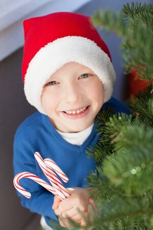 little boy in santa's hat holding candy canes by the christmas treeの写真素材