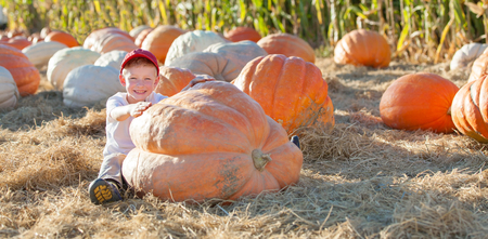 smiling 6-year old boy sitting near huge pumpkin and enjoying autumn time at pumpkin patchの写真素材