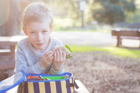 cheerful schoolboy eating healthy lunch outdoorの写真素材