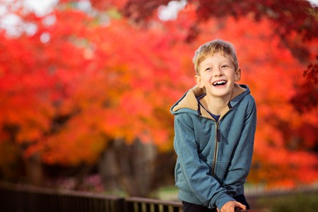cheerful laughing little boy enjoying autumn red leaves of japanese maple in the parkの写真素材