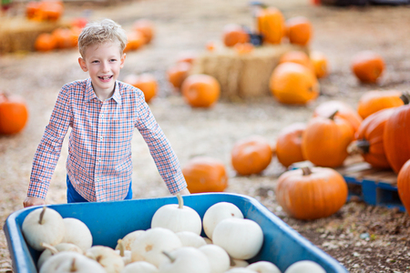 cheerful positive boy enjoying autumn time at pumpkin patch pushing cart full of pumpkinsの写真素材