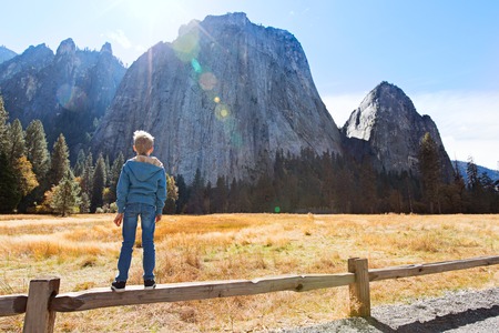 back view of active little boy enjoying valley and mountain view in yosemite national park, california, active family vacation conceptの写真素材