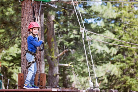 smiling little boy climbing in treetop adventure park, healthy active lifestyle conceptの写真素材