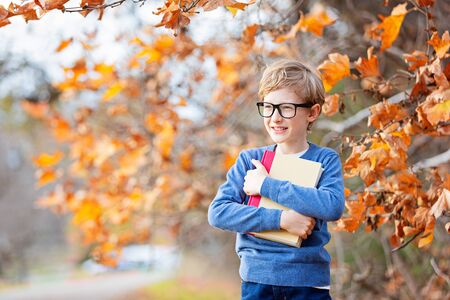 positive smiling boy in glasses holding book ready for a new school year, back to school concept, fall time in the park, copy space on leftの写真素材