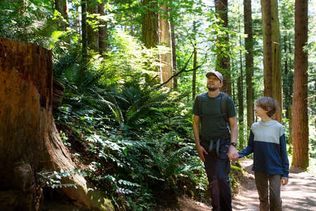 family of two, father and son, hiking and enjoying lush rainforest of pacific northwest, washington state, usa, healthy active lifestyle conceptの写真素材