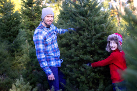 cheerful smiling boy and his dad choosing the right tree at outdoor christmas tree farm, fun holiday family activityの写真素材