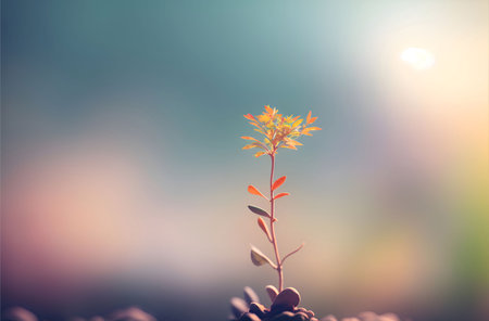 A smallcolorful plant growing out of the ground. a small plant growing in front of a blur backgroundの素材