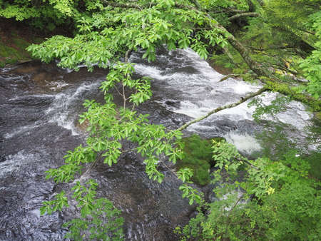 Flow near Nikko Ryuzu Fallsの写真素材