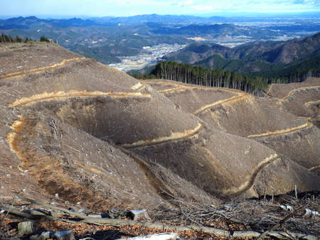 Slope after timber loggingの写真素材