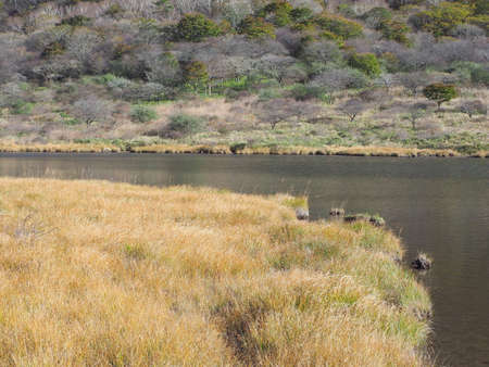 Kakumanbuchi in late autumnの写真素材