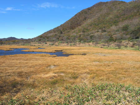 Kakumanbuchi Marshland in Late Autumnの写真素材