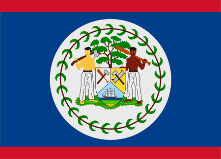 Flag of Belize vector illustrationのイラスト素材