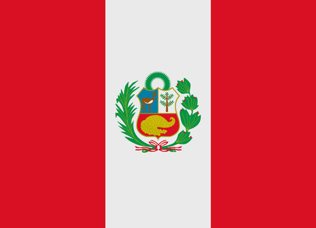 Flag of Peru vector illustrationのイラスト素材