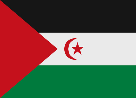 Flag of Sahrawi Arab Democratic Republic vector illustrationのイラスト素材