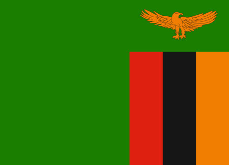 Flag of Zambia vector illustrationのイラスト素材