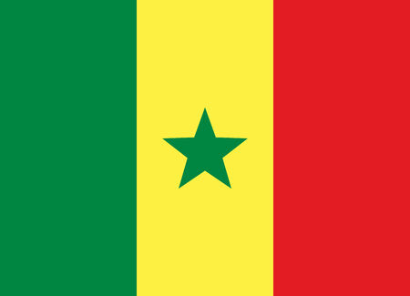 Flag of Senegal vector illustrationのイラスト素材