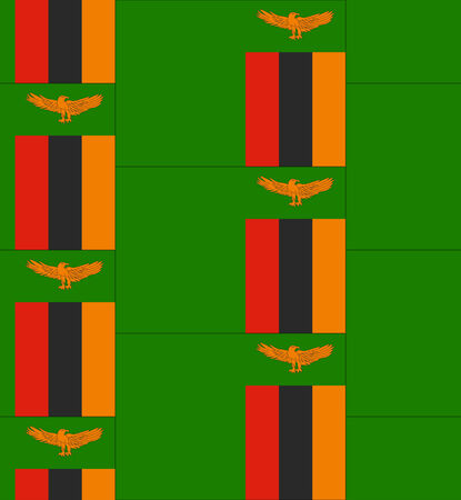 Flag Zambia texture vector illustrationのイラスト素材