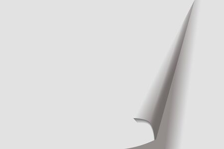 white rolled sheetのイラスト素材