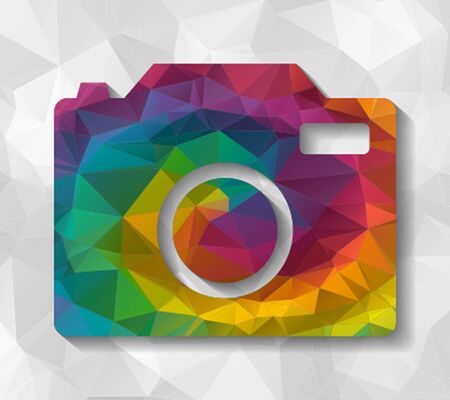 camera low polyのイラスト素材