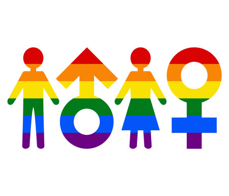 female male LGBT flag. gay, lesbian, bisexual and transgender icon vectorのイラスト素材