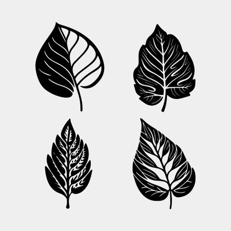 Leaf icon set. Black on white background. Vector illustration.のイラスト素材