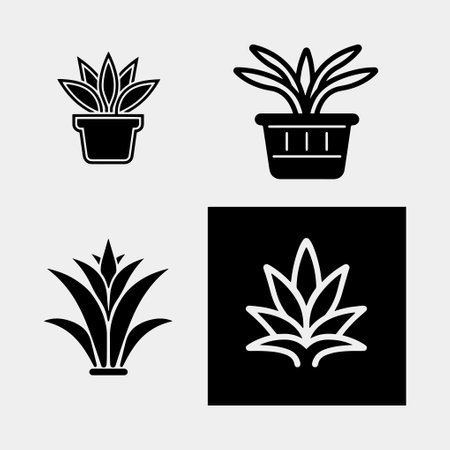 set of Aloe Vera plant vector. Isolated on whiteのイラスト素材