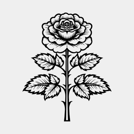 rose flower. hand drawn sketch illustration. vector.のイラスト素材