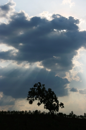 clouds and sky conditions are Overcast and dark for the backgroundの写真素材
