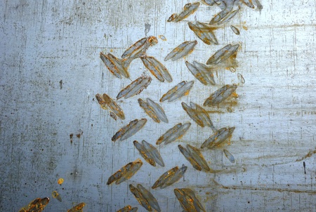 texture of the walls with bright colors for background