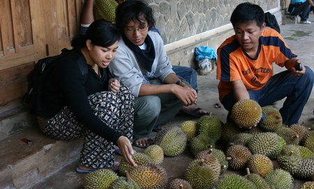 Kulonprogo, INDONESIA - January 27, 2008  durian fruit market in a village in the durian fruit producing Kalibawang on January 27, 2008 in Yogyakarta, Indonesiaのeditorial素材