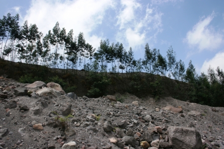 the slopes of Mount Merapi, Kaliadem, Sleman, Yogyakarta, Indonesia