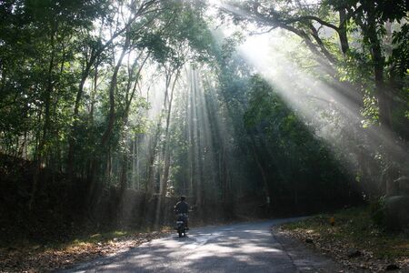 phosphorescent light that falls on the highway when the vehicle passes in asiaの写真素材