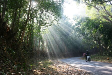 phosphorescent light that falls on the highway when the vehicle passes in asiaの写真素材