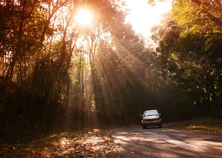 phosphorescent light that falls on the highway when the vehicle passes in asiaの写真素材