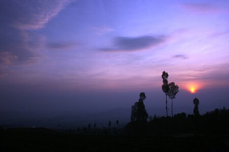 Beautiful nature city of Temanggung, Indonesia  This is a clean and green forest with mountain  it s...
