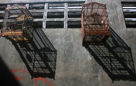 bird cage that has the long shadows on the wallの写真素材