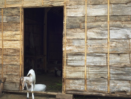 Arrayの写真素材