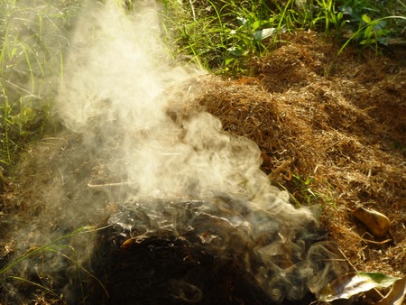 Plants plastic and hazardous meterials on fire emitting toxic and poisoinous fumes and polluting environment in indonesiaの写真素材