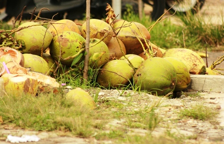 green coconut bunch on the ground